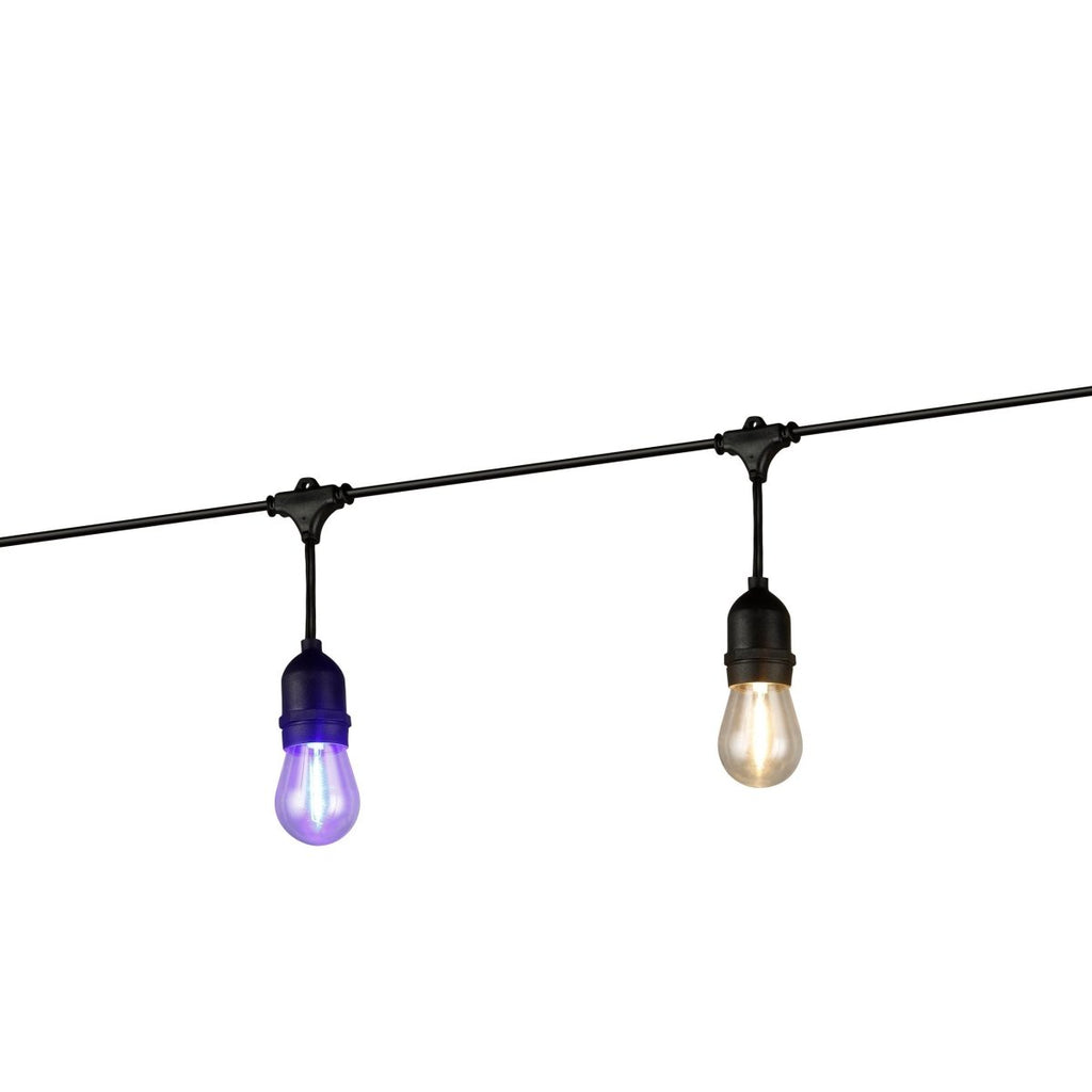 Festoon String LightsEglo205397N- Grand Chandeliers